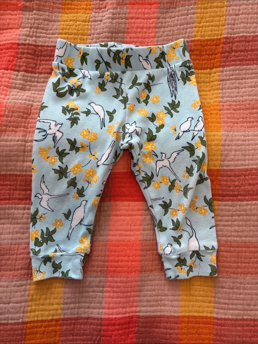 4 for $40 Apple Park Leggings